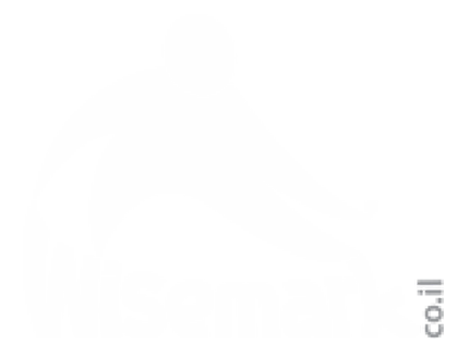WiseMark logo